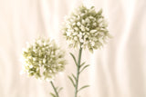 Mini Allium Cream 46cm