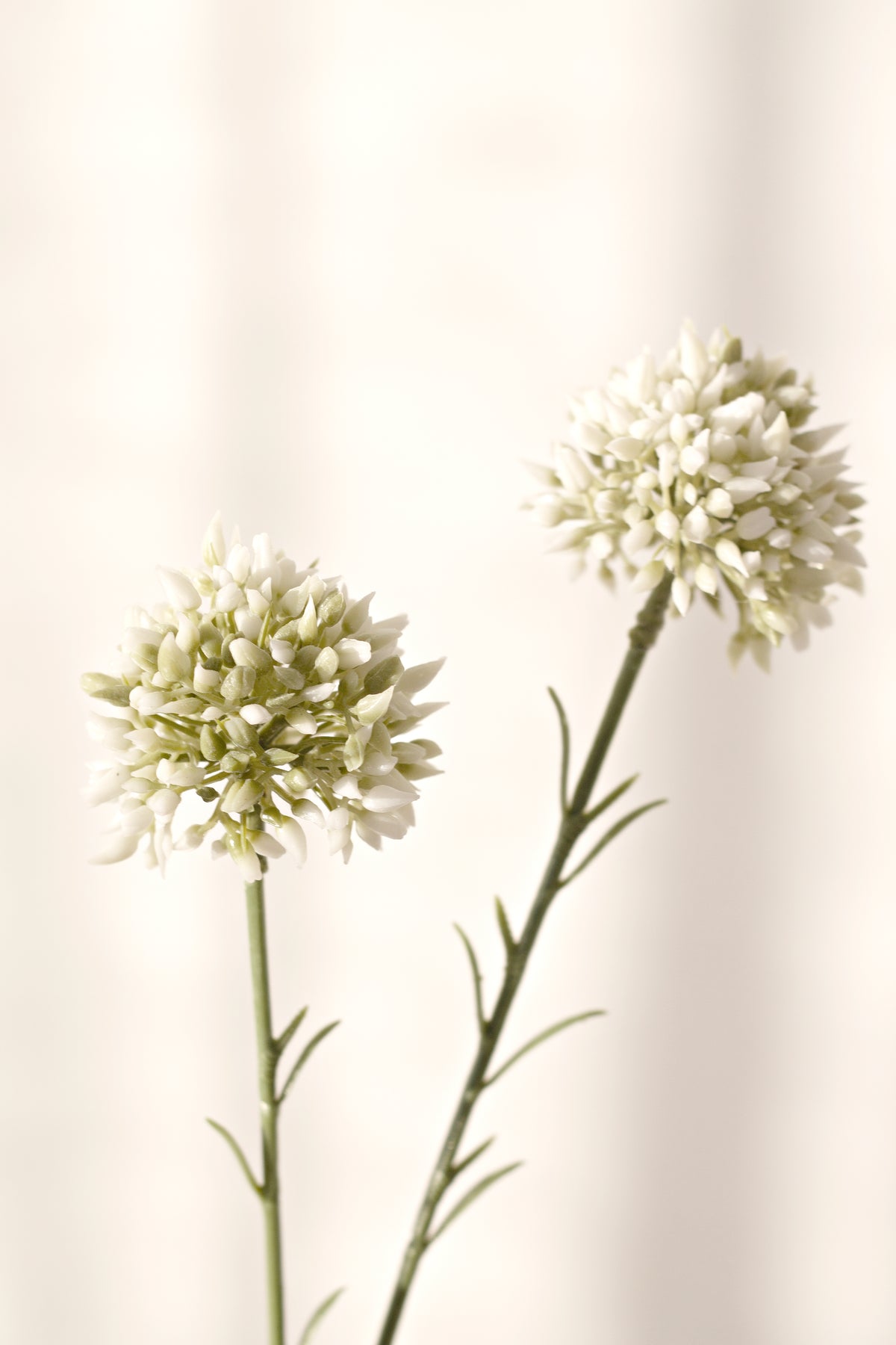 Mini Allium Stem, Cream 46cm Faux Flower