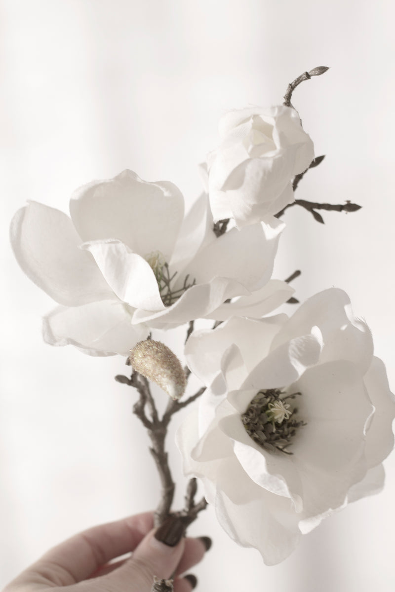 Royal Magnolia - White