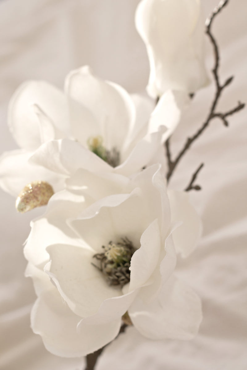 Royal Magnolia - White