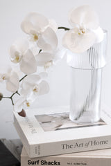 White Phalaenopsis Orchid Large