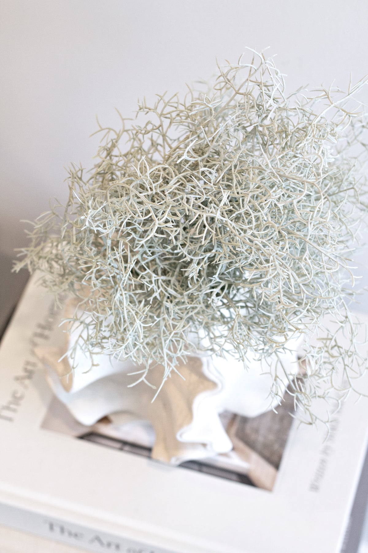 Overhead view of dried grasses in the coral vase, balanced on a stack of books