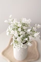 Gypsophila Spray 65cm