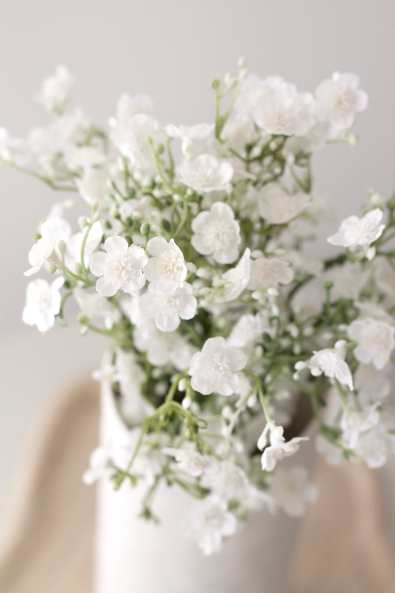 Gypsophila Bundle