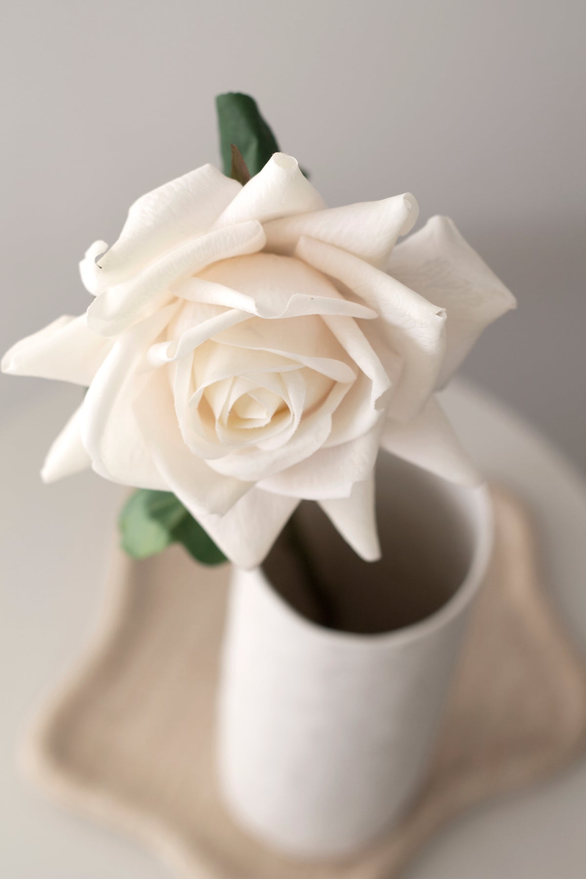 Aida Real Touch Rose, White & Peach 65cm Faux Stem