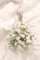 Gypsophila Bundle