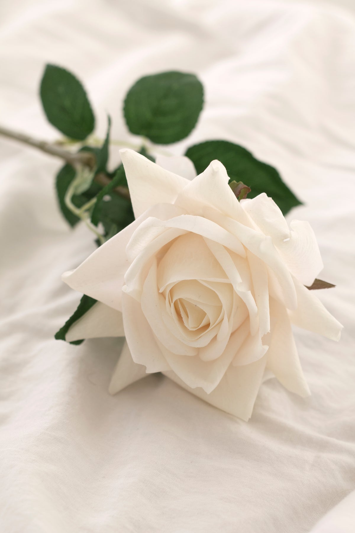 Aida Real Touch Rose, White & Peach 65cm Faux Stem