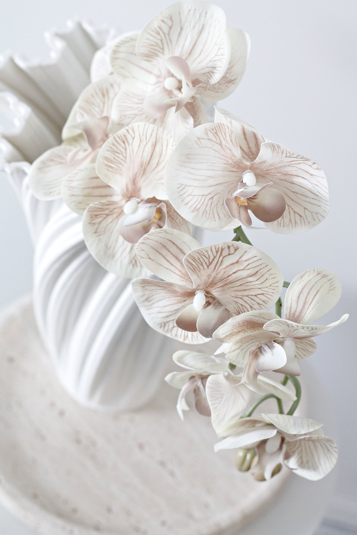Blush orchids arching from a white fluted vase set on a stone plinth