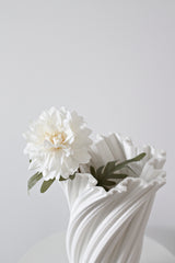 Cottage Dahlia - White