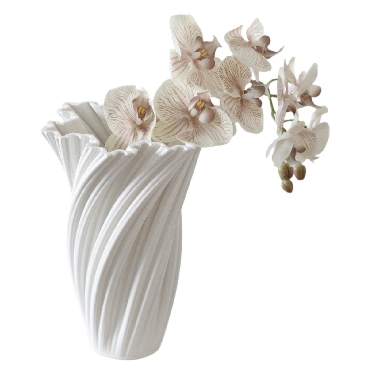 Beige phalaenopsis orchid arching from a white ribbed sculptural vase, shown on white