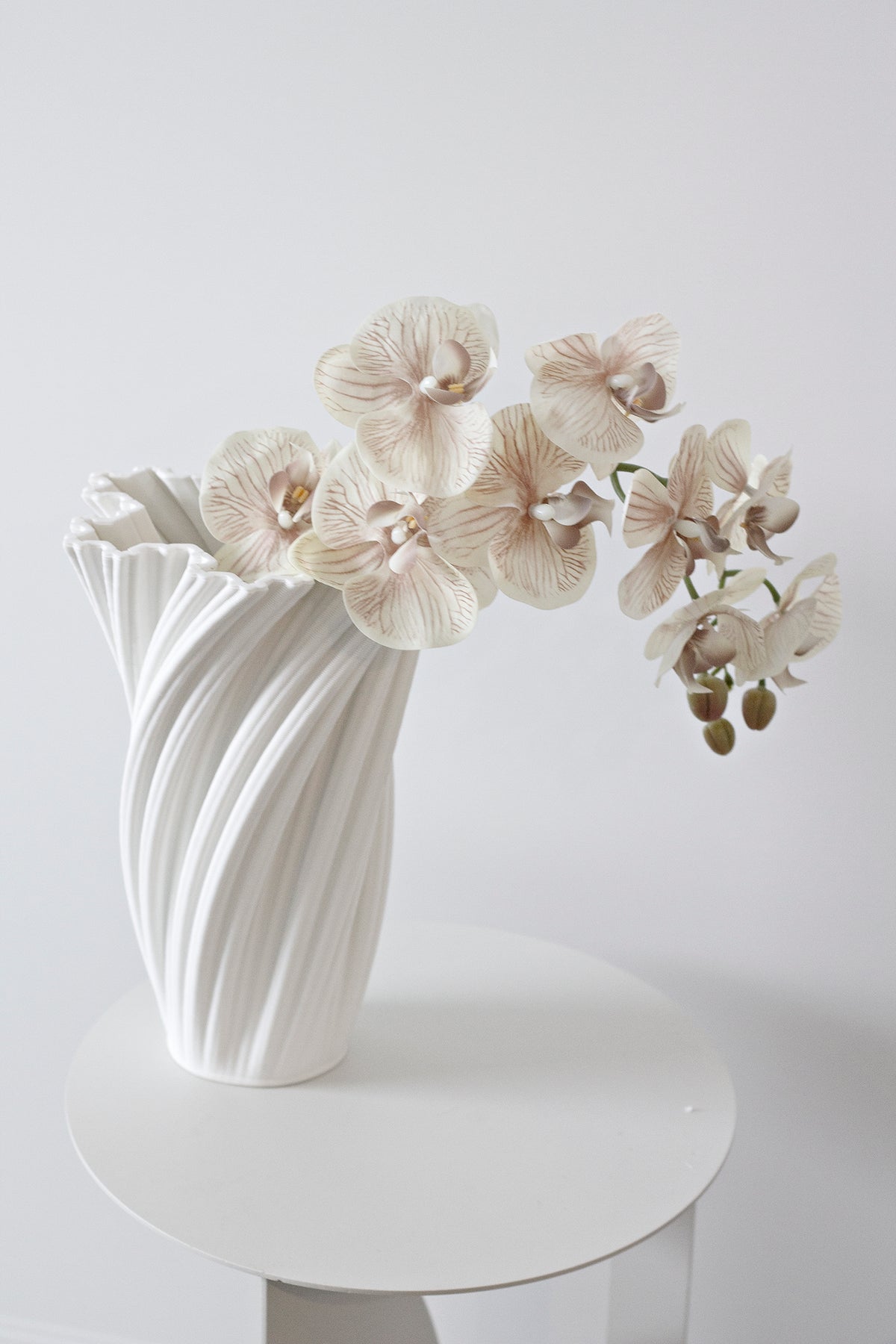 Champagne orchid arching from a white ruffled vase on a round white table