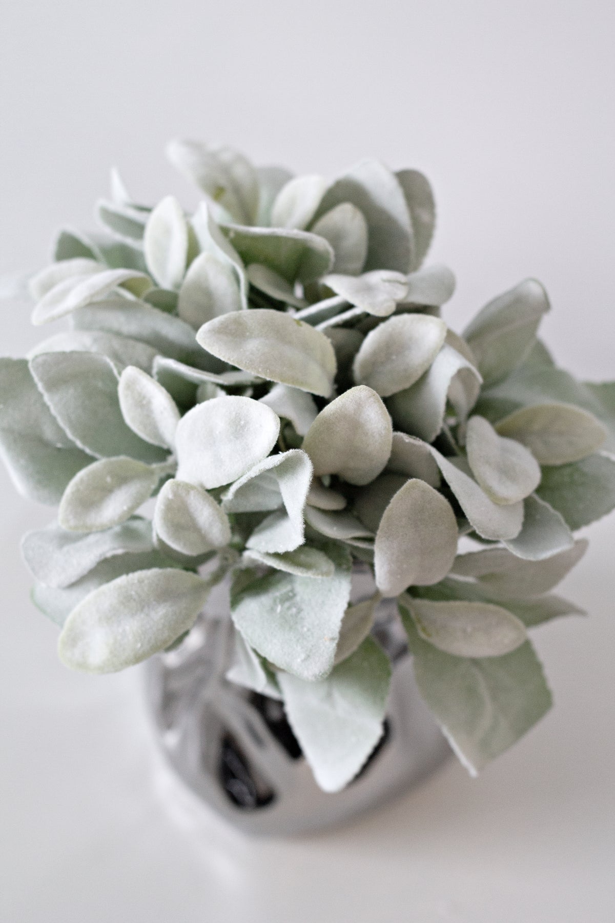Lamb's Ear, 35cm Grey-Green Faux Foliage