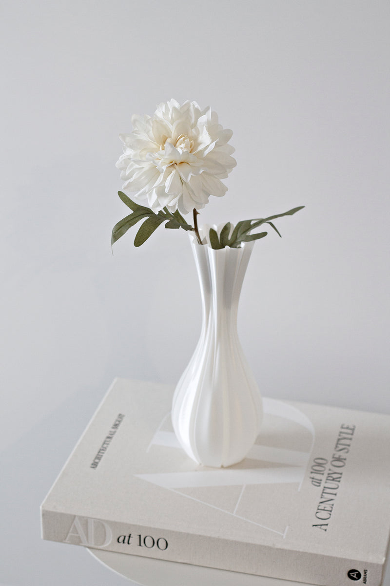 Cottage Dahlia - White