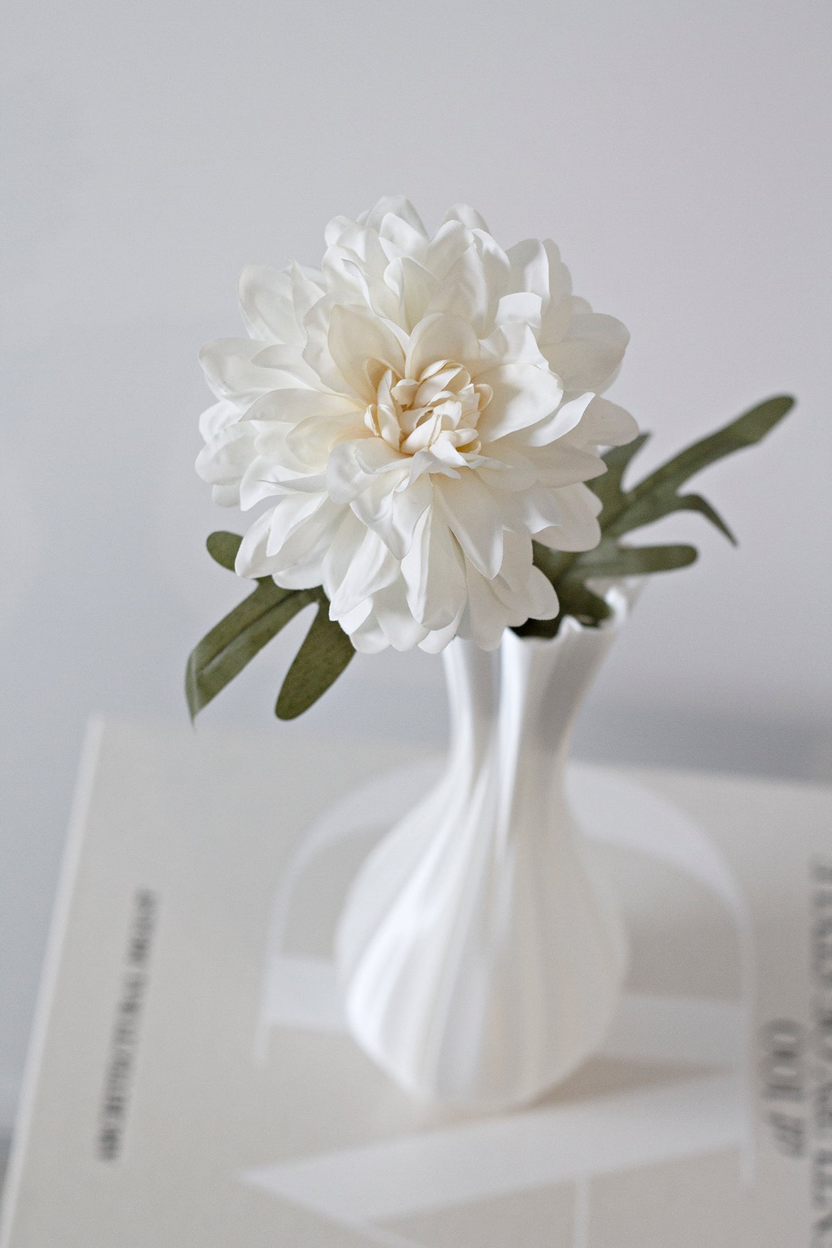 A single white bloom with grey-green foliage in the fluted vase, resting on a pale book
