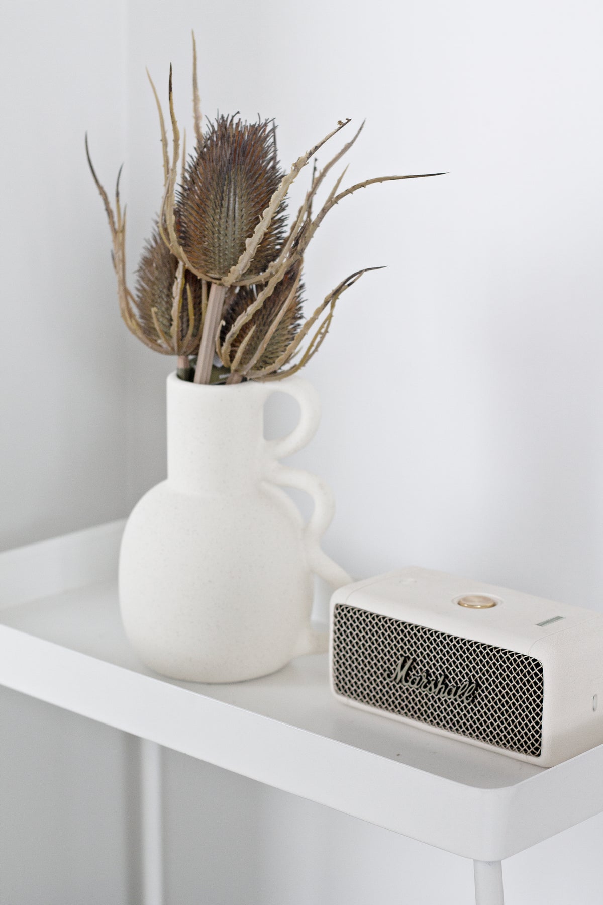 Chloe vase of dried grasses on a white console beside a small speaker