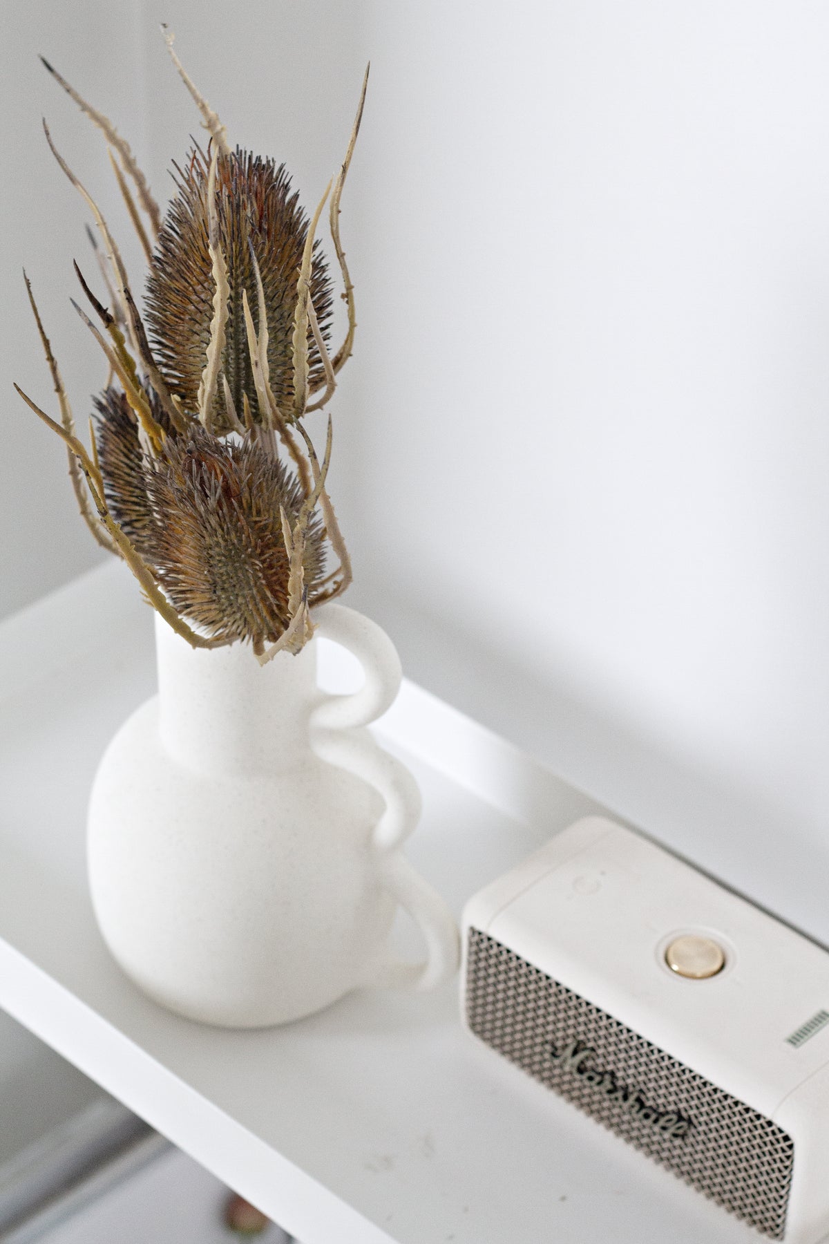 Chloe vase holding dried teasel stems on a white shelf beside a small box