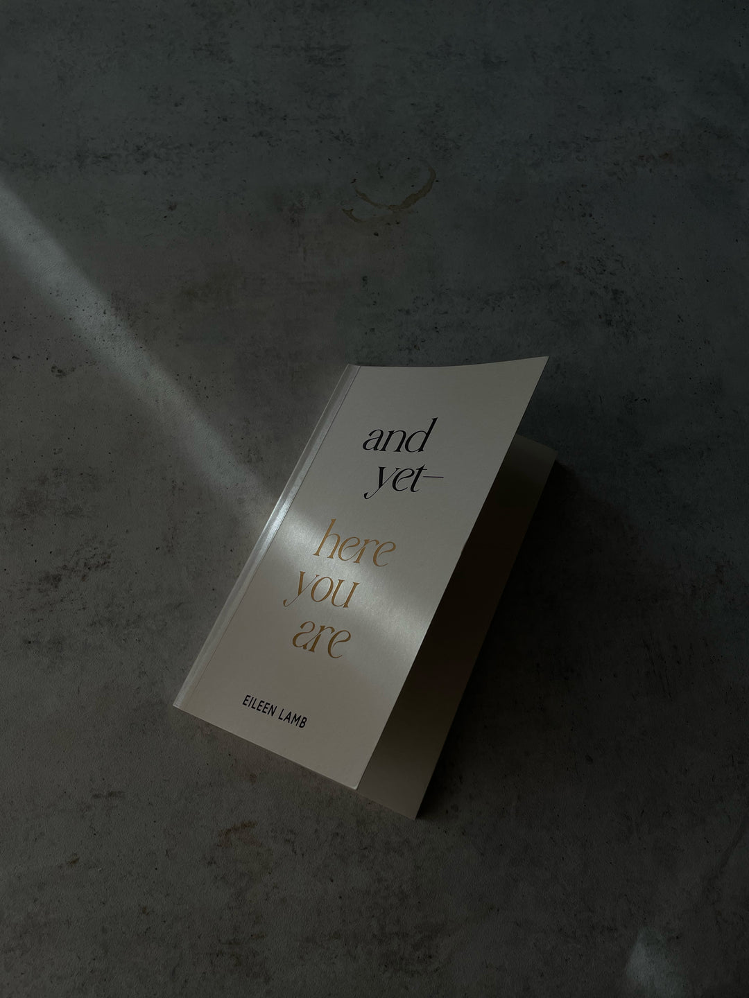 And Yet — Here You Are | Eileen Lamb