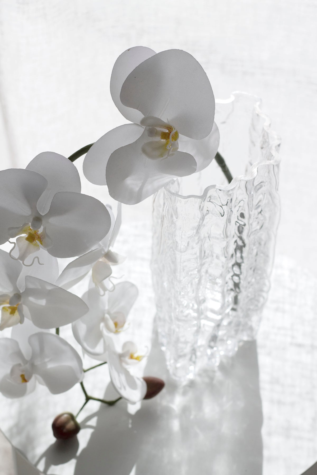 Clear Glacier vase with white orchids arching over the rim, photographed close