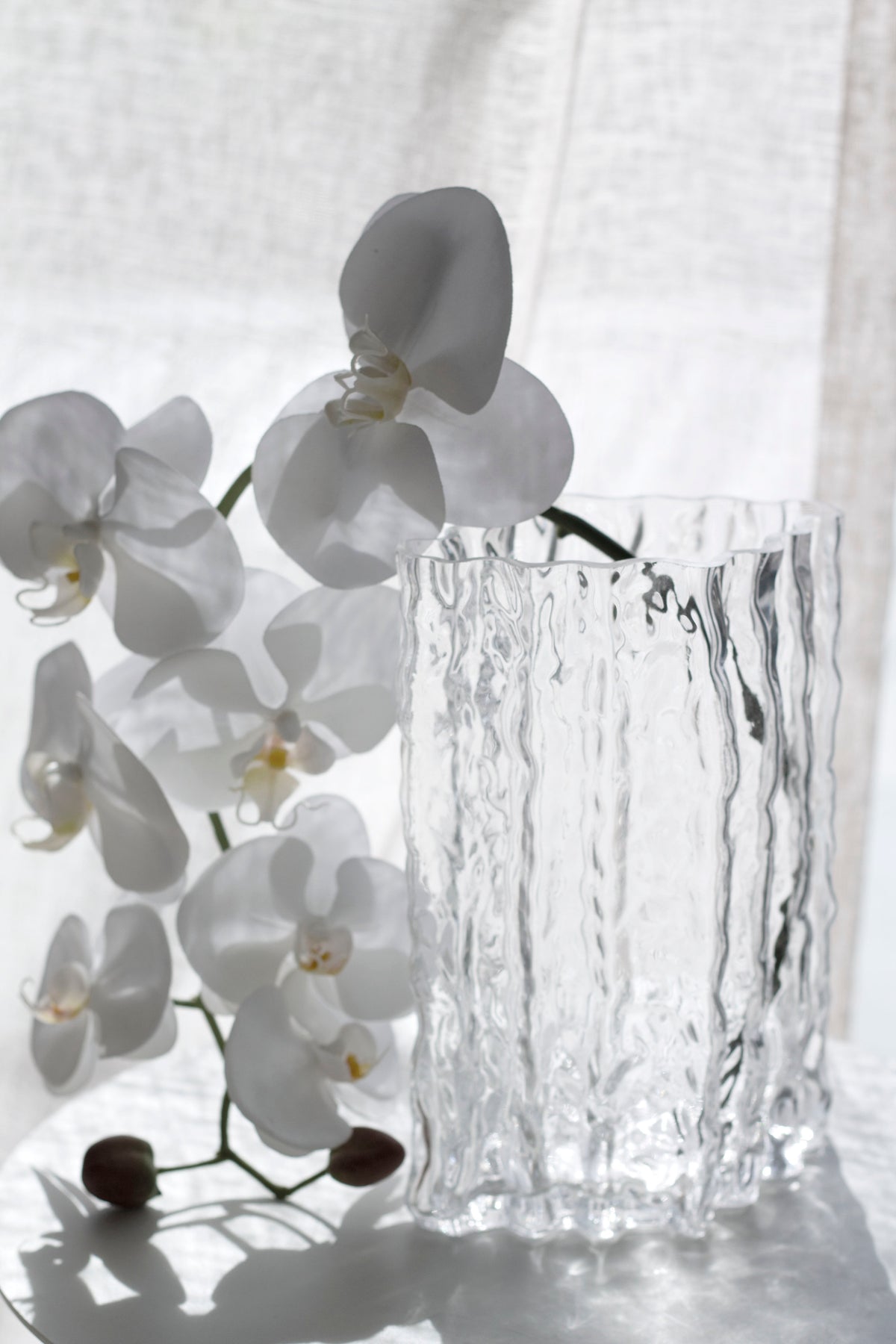 Clear Glacier vase with orchid blooms curving across the frame in soft daylight
