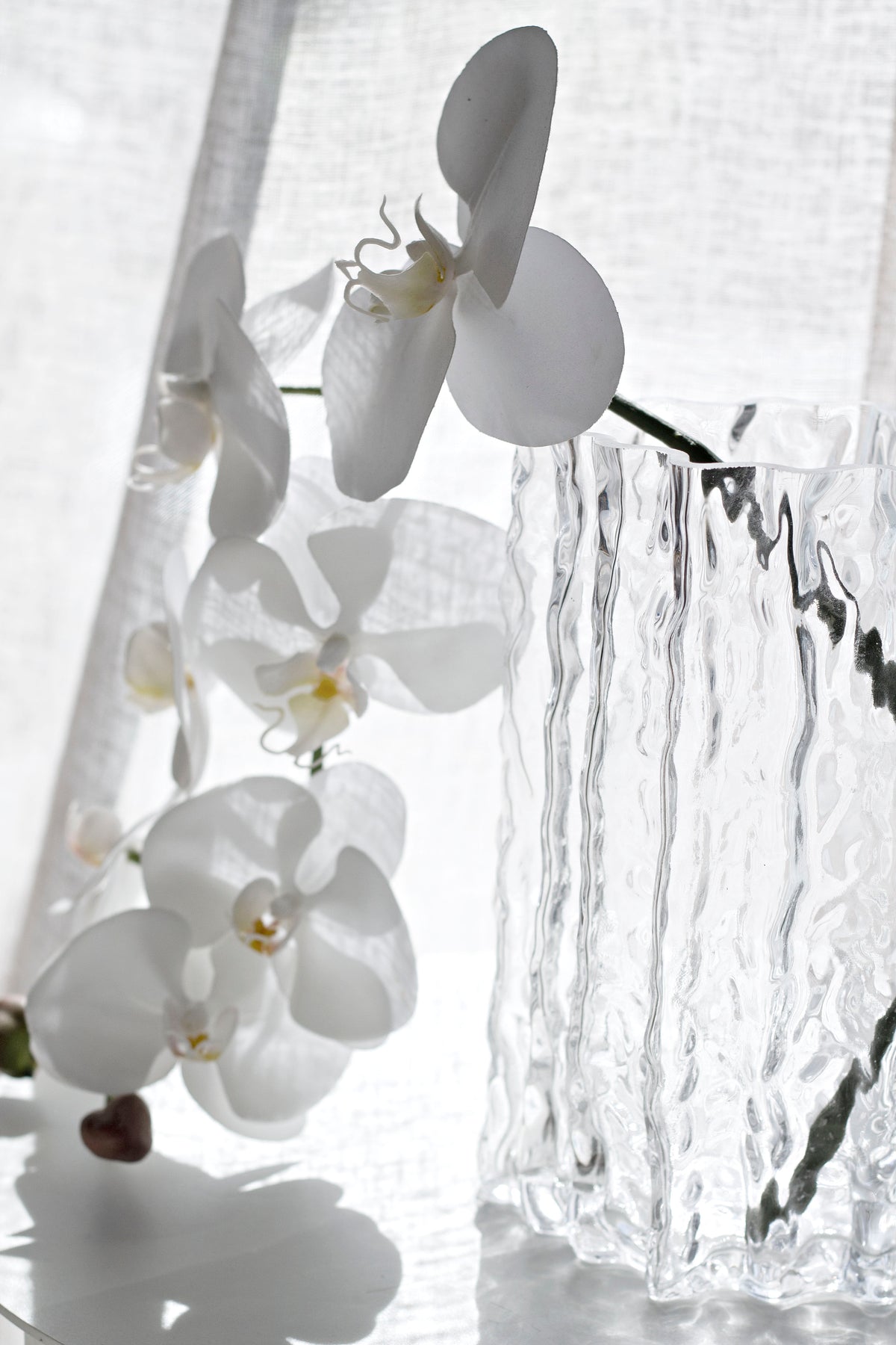 Clear Glacier vase holding a white orchid stem against a woven linen backdrop