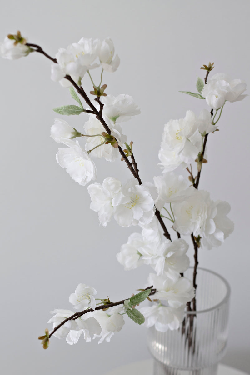 Japanese Cherry Blossom - White