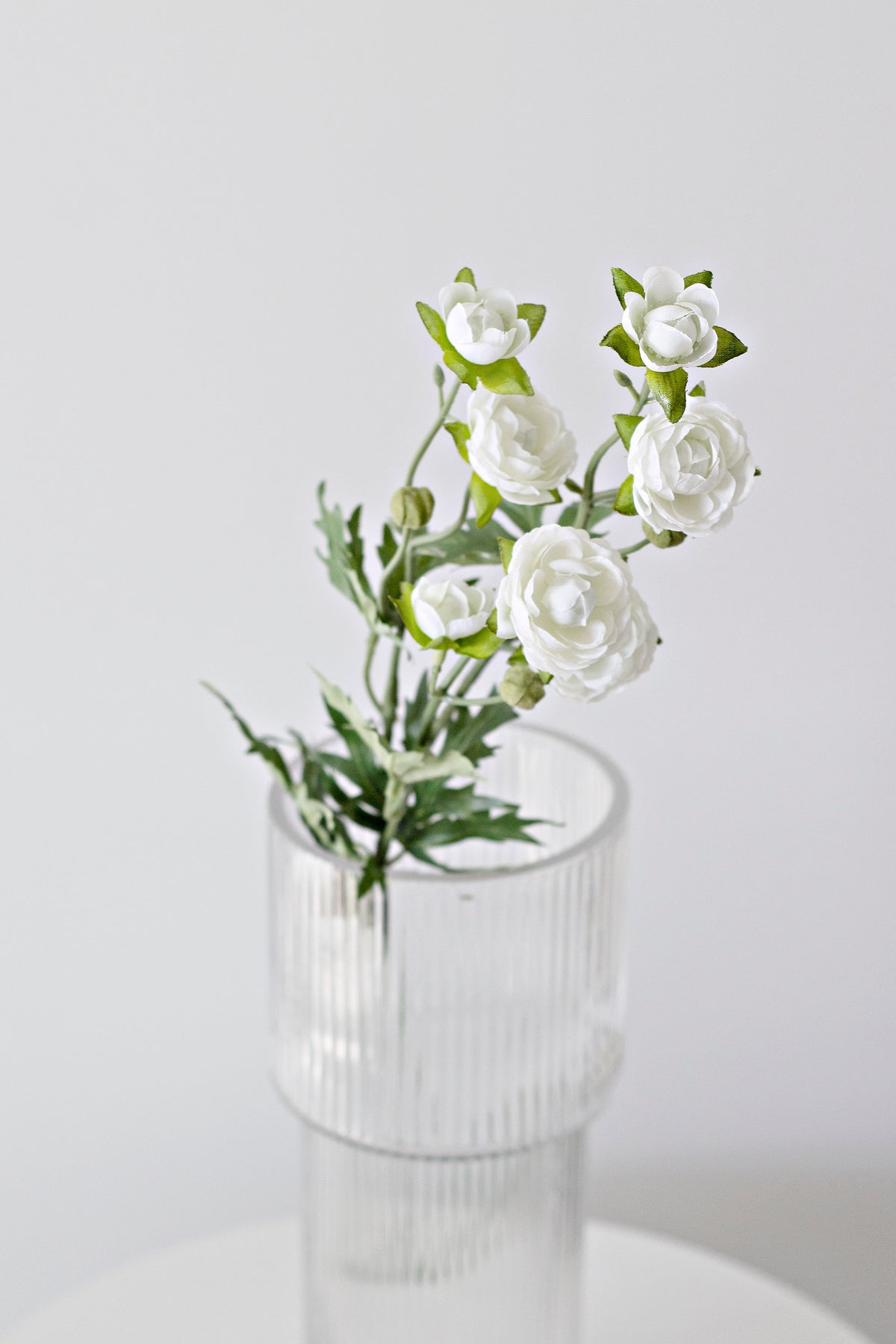 Ranunculus spray in a ribbed glass vase against a grey wall