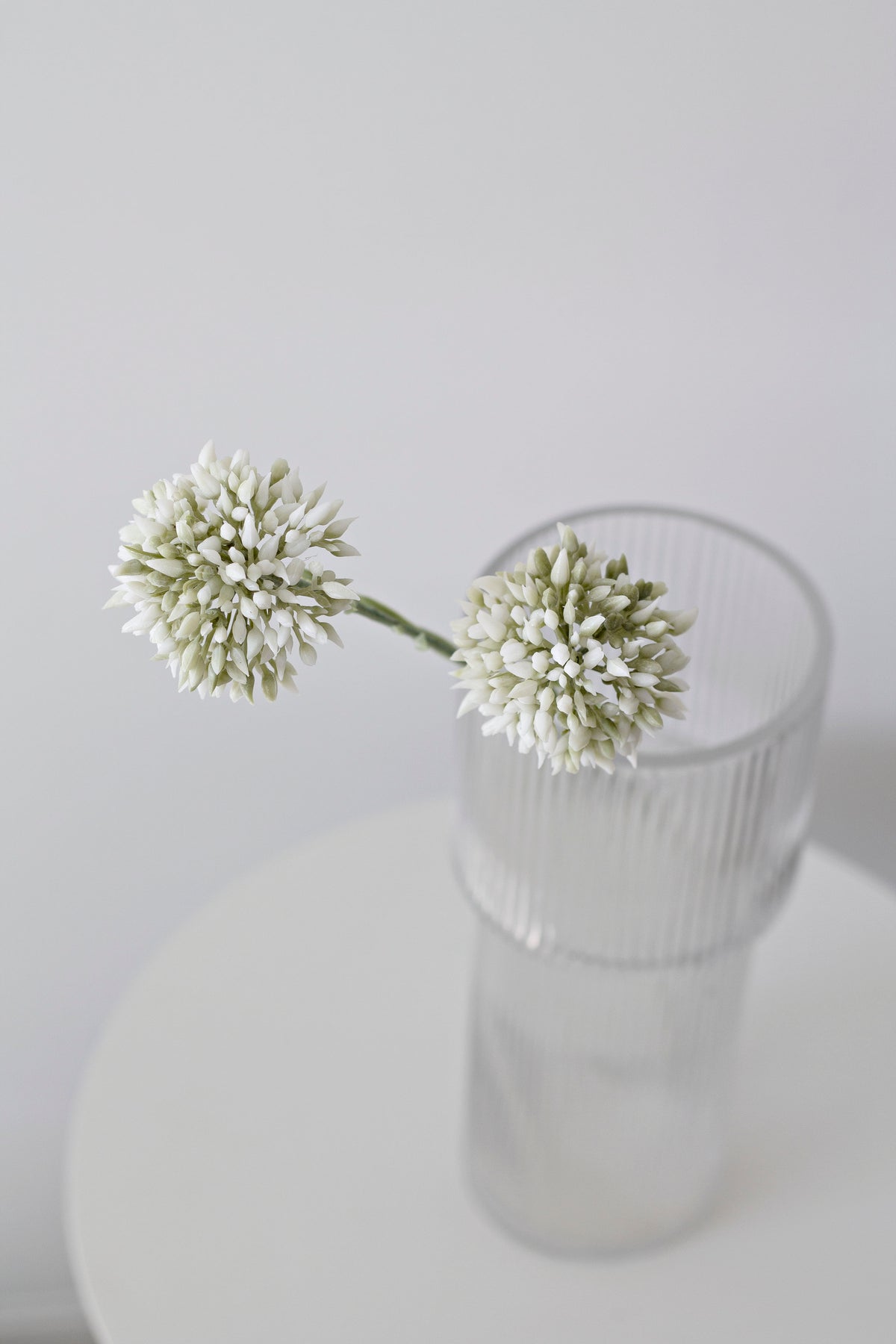 Mini Allium Stem, Cream 46cm Faux Flower