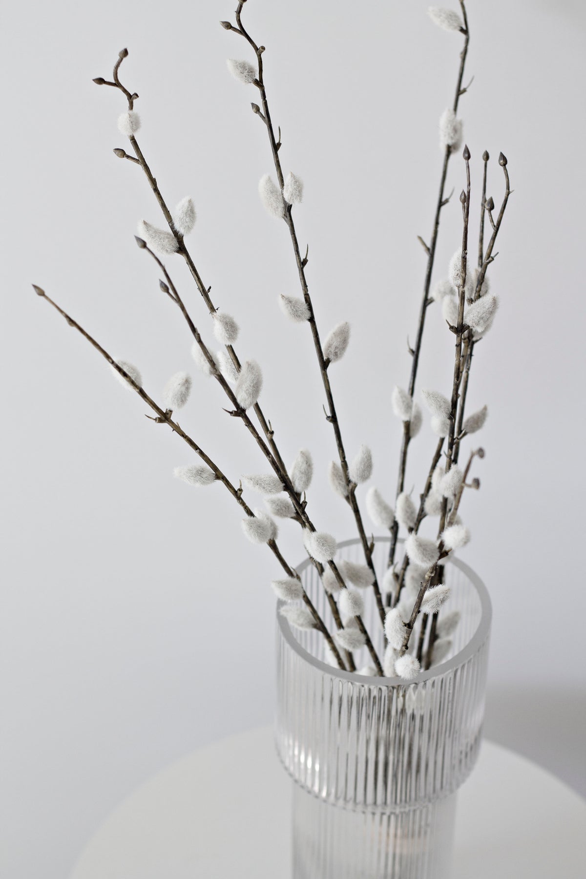 Tall faux pussy willow stems fanning out of a clear glass vase