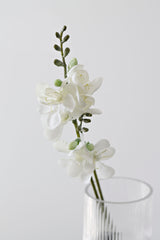 Freesia - White