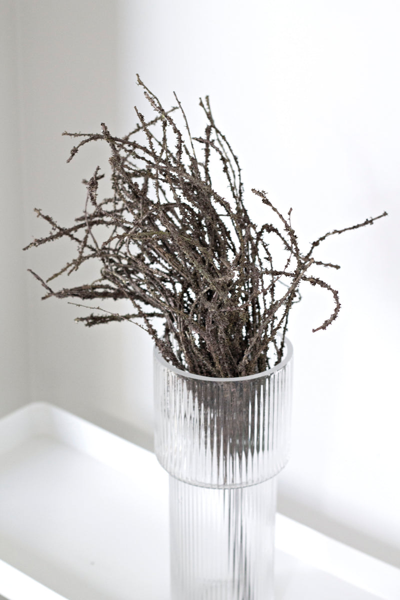 Dried-Look Birch Twigs 42cm