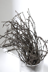 Dried-Look Birch Twigs 42cm