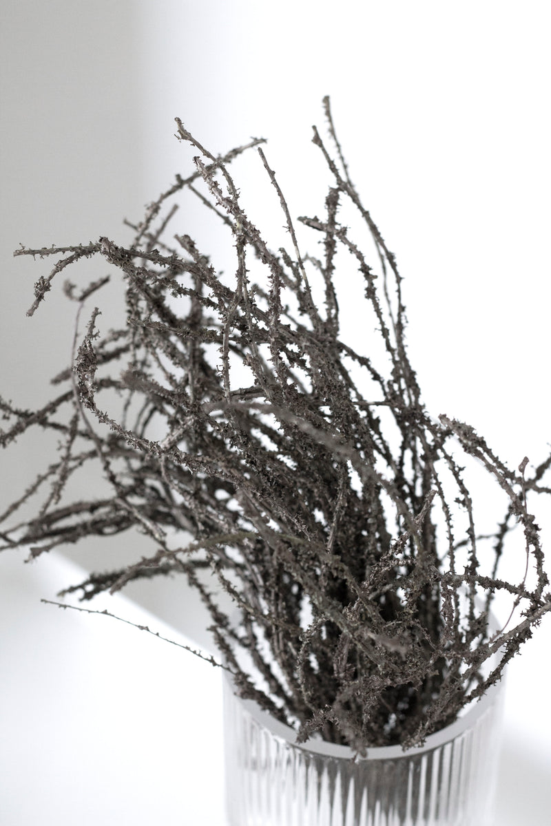 Dried-Look Birch Twigs 42cm