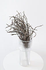 Dried-Look Birch Twigs 42cm