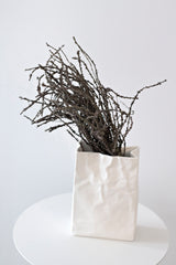 Dried-Look Birch Twigs 42cm