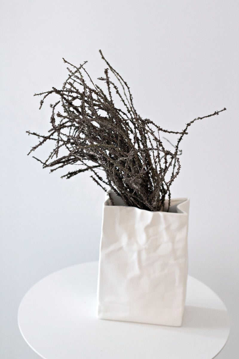 Dried-Look Birch Twigs 42cm