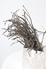 Dried-Look Birch Twigs 42cm