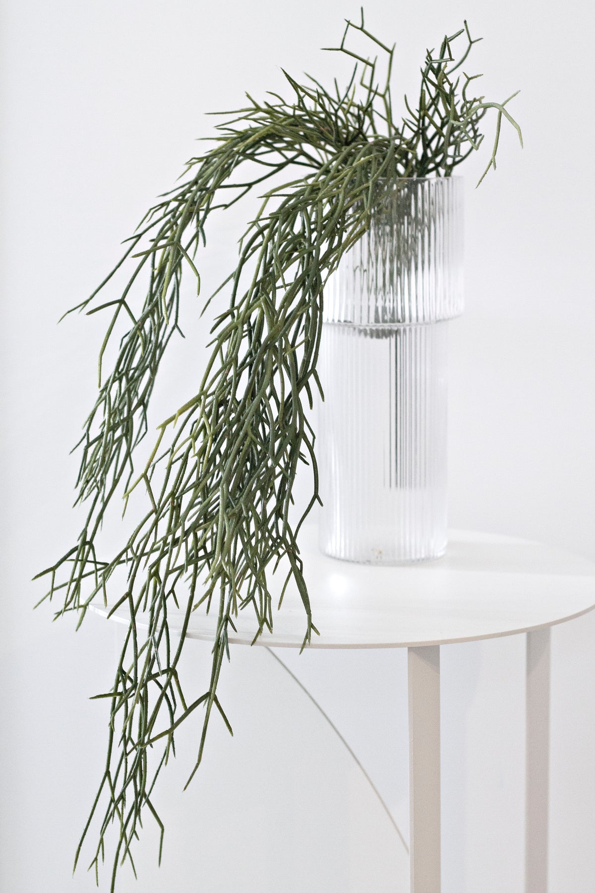 Faux rhipsalis draped over a white stool