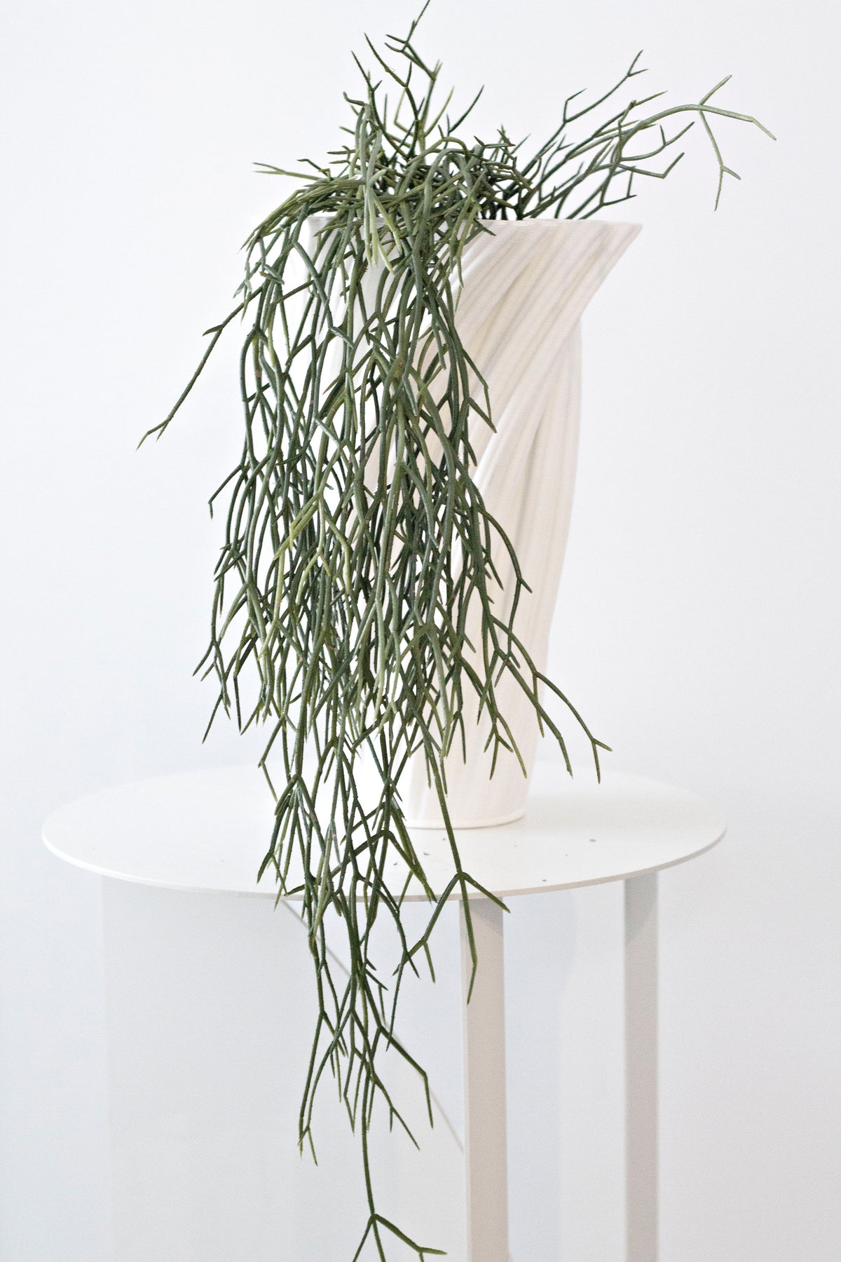 Faux rhipsalis spilling over a white plinth