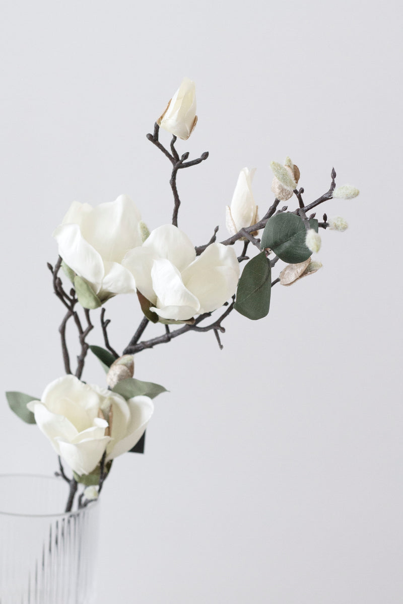 Magnolia Branch - White