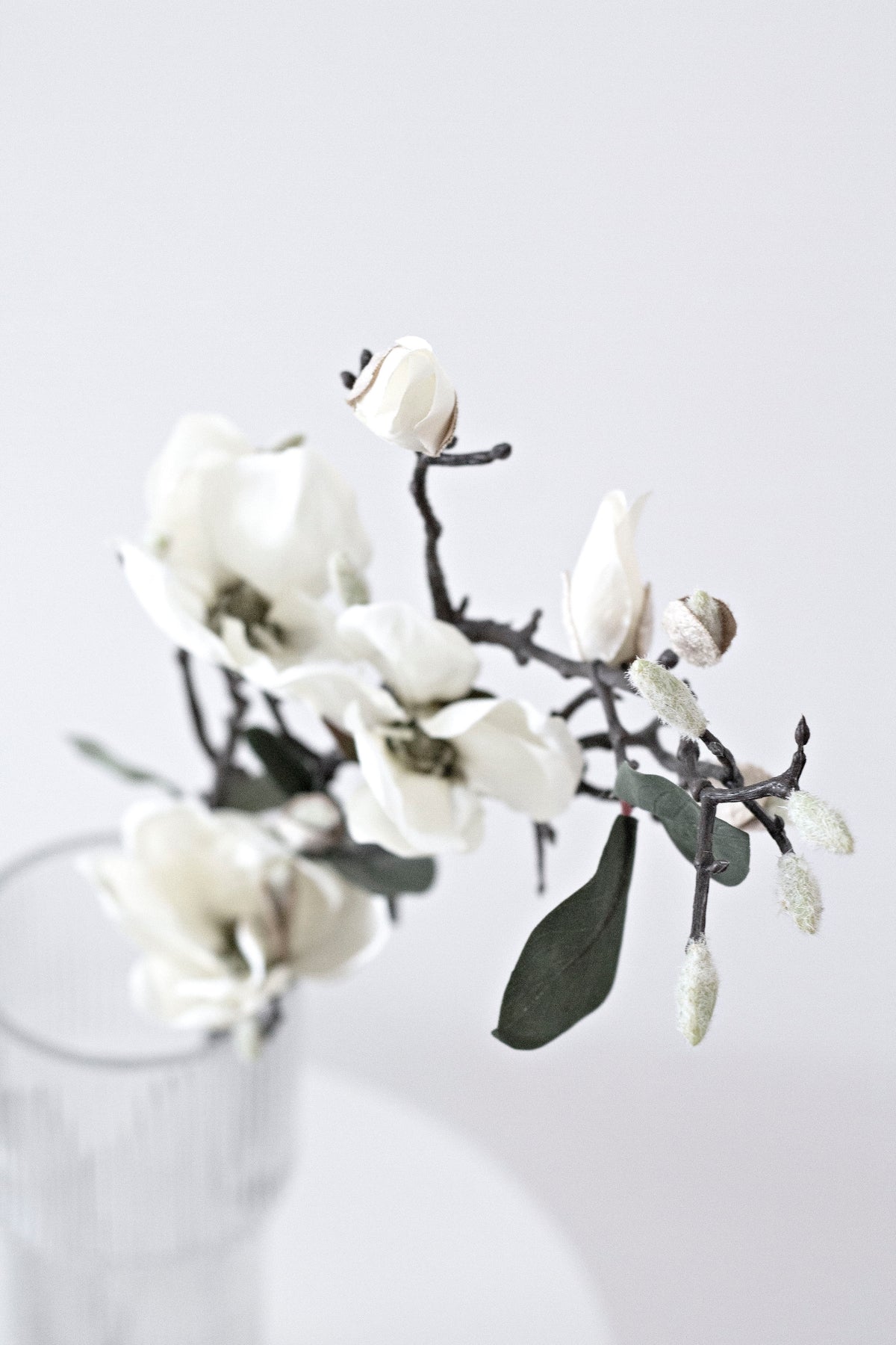 Faux white magnolia blooms and buds on dark stems in a glass vase