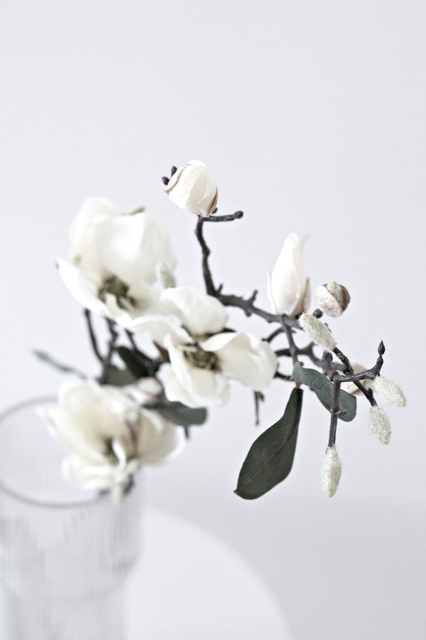 Magnolia Branch - White