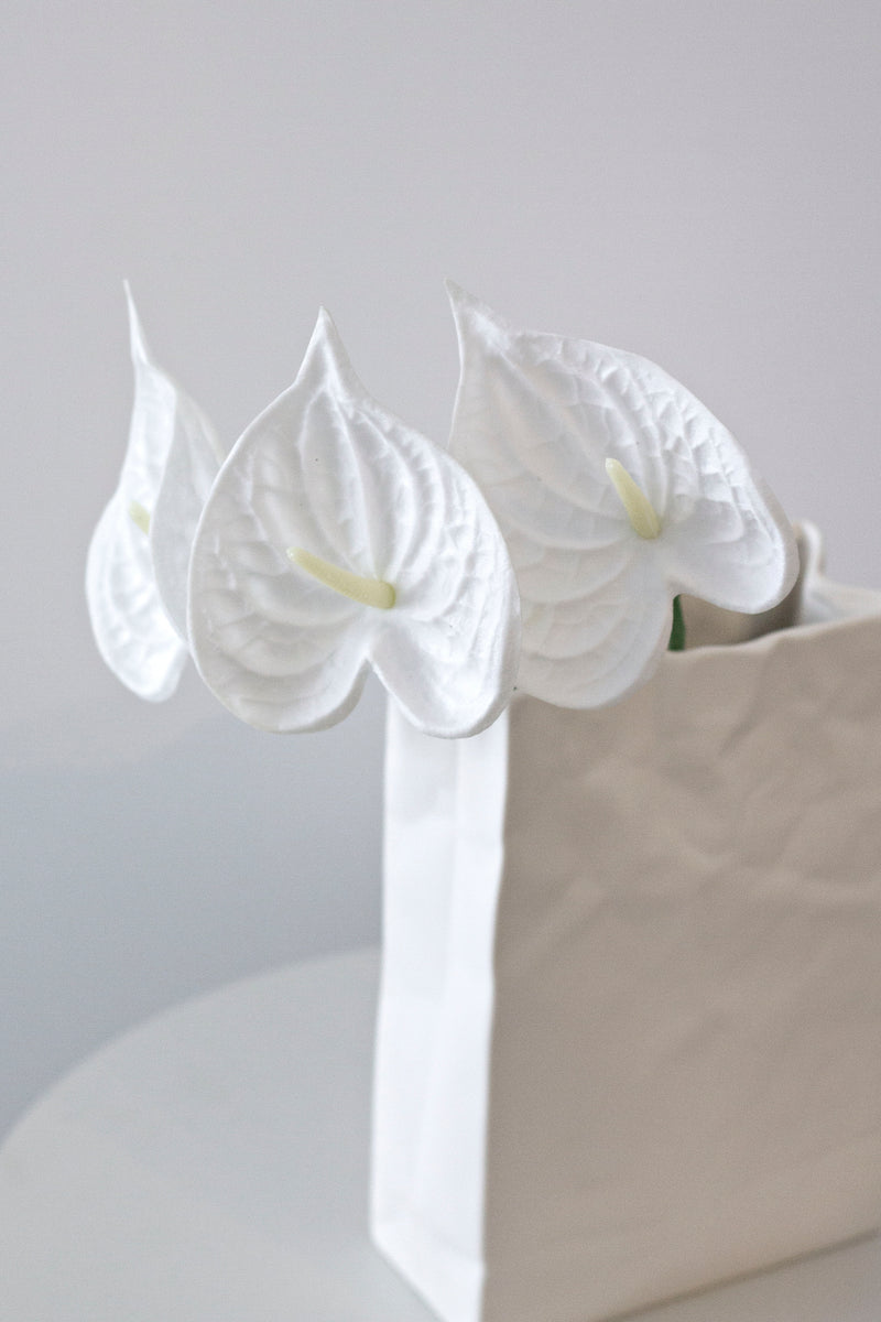 White Anthurium