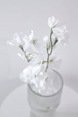 Sweet Pea Cream Faux Stem | 63cm