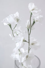 Sweet Pea Cream Faux Stem | 63cm