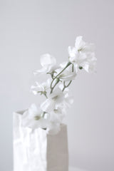 Sweet Pea Cream Faux Stem | 63cm