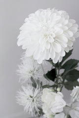 Grand Dahlia - White