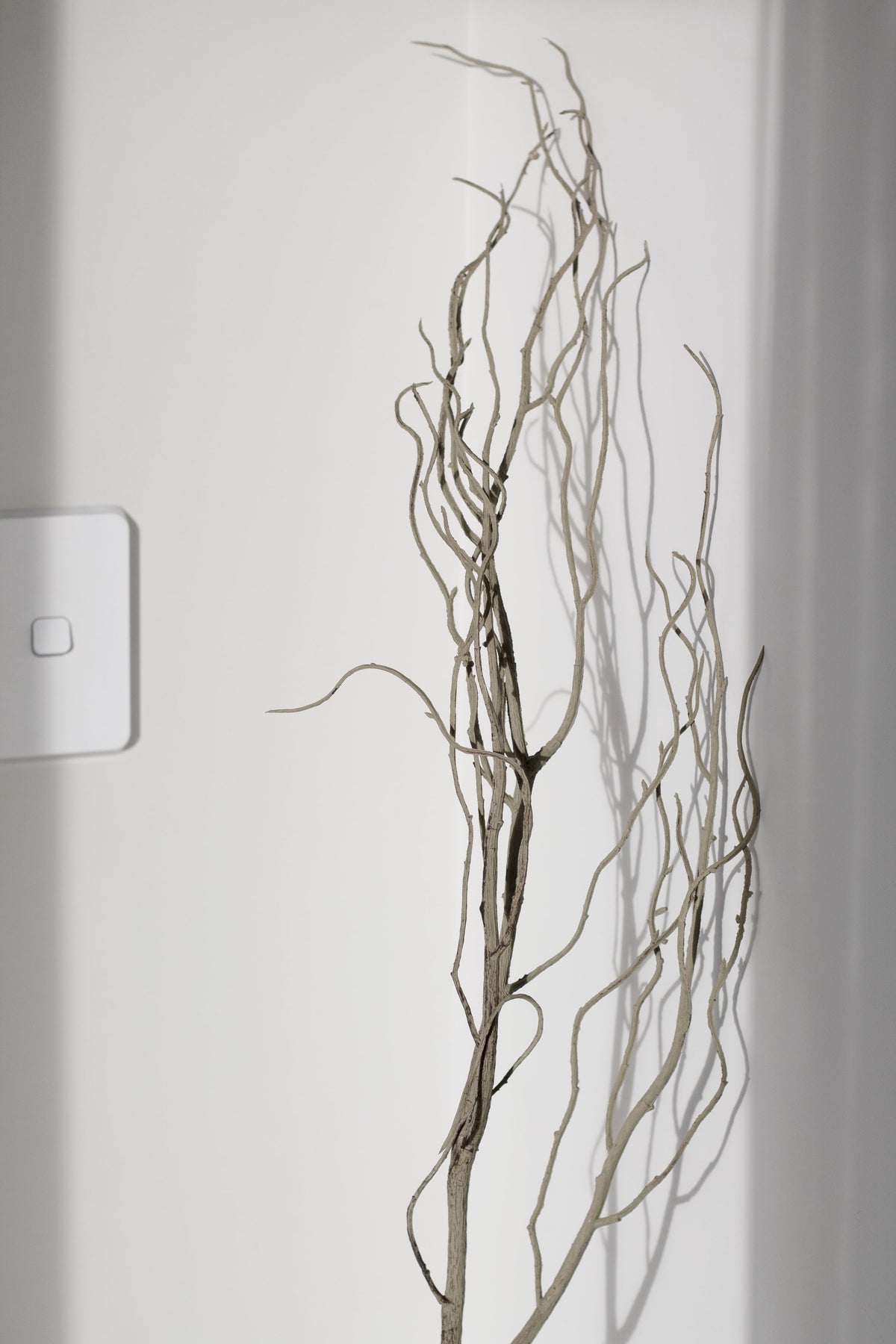 Close view of the curling faux willow twigs against a white wall