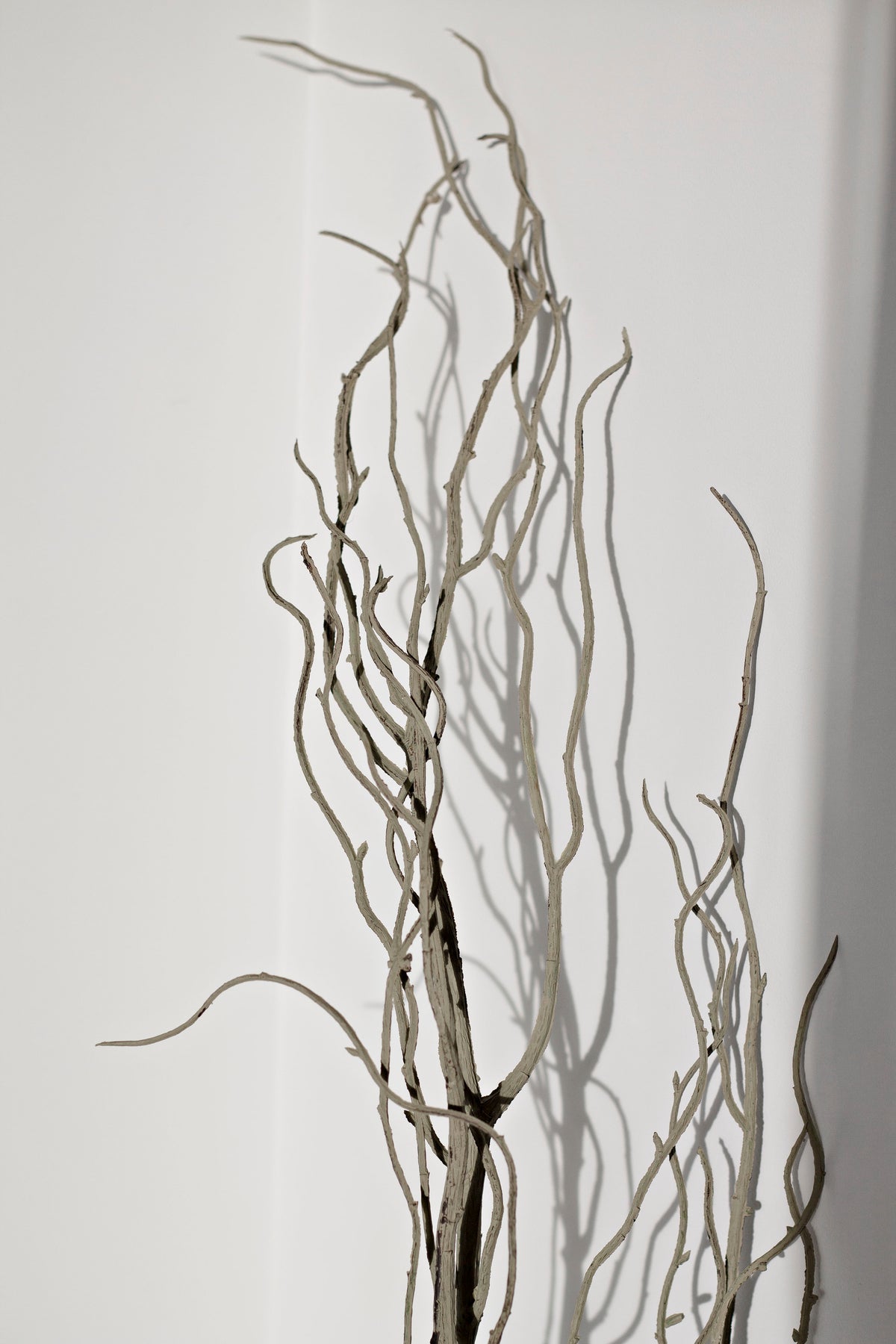 Tall faux willow branches with curling twigs against a white wall