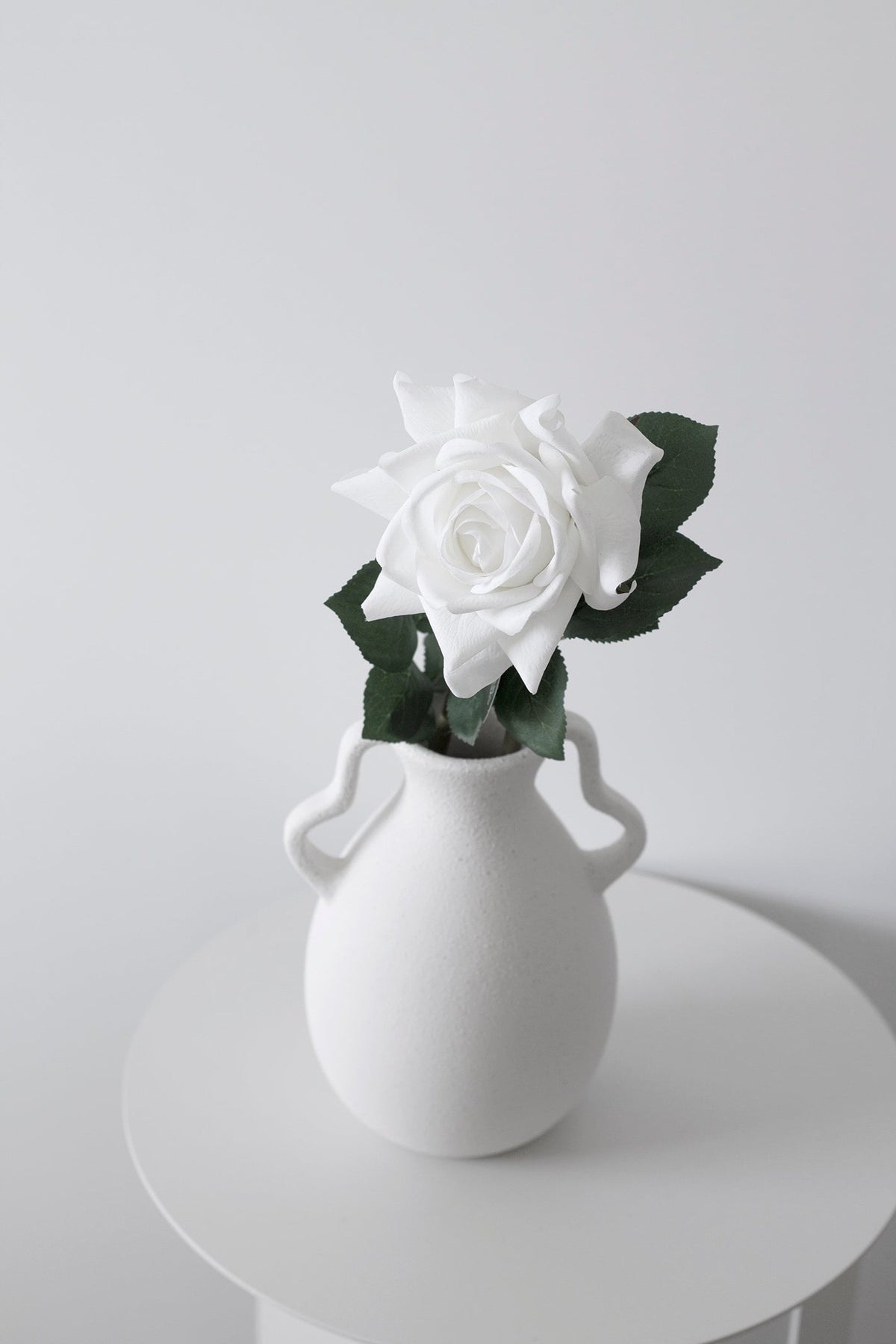 White rose in a white vase with loop handles on a round table