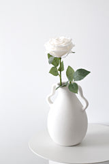 Single Rose Flower - Cream / White